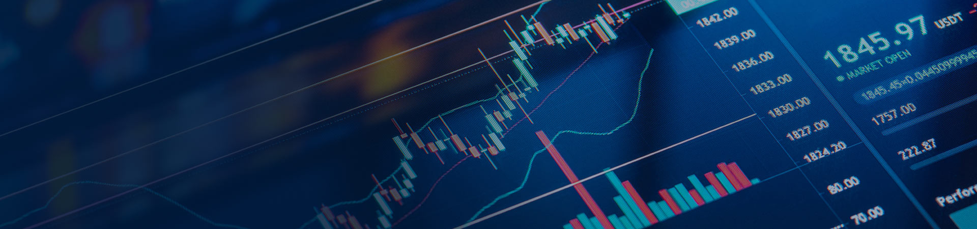 FinBit header image