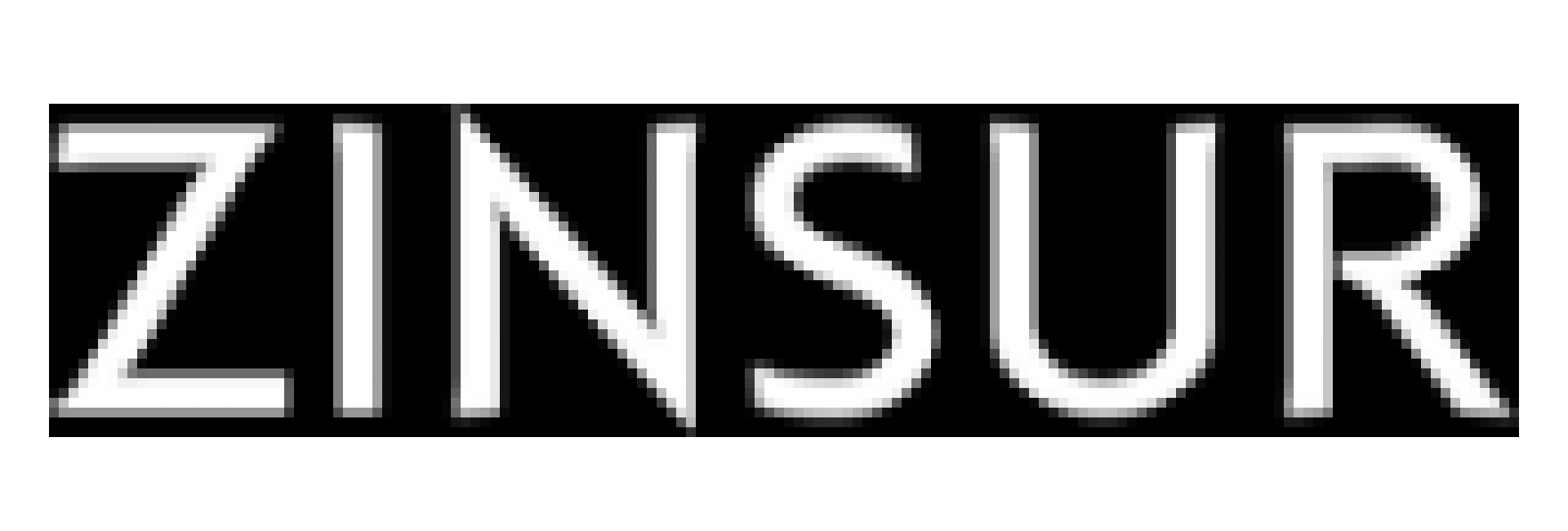 Zinsur Website Logo 160x113